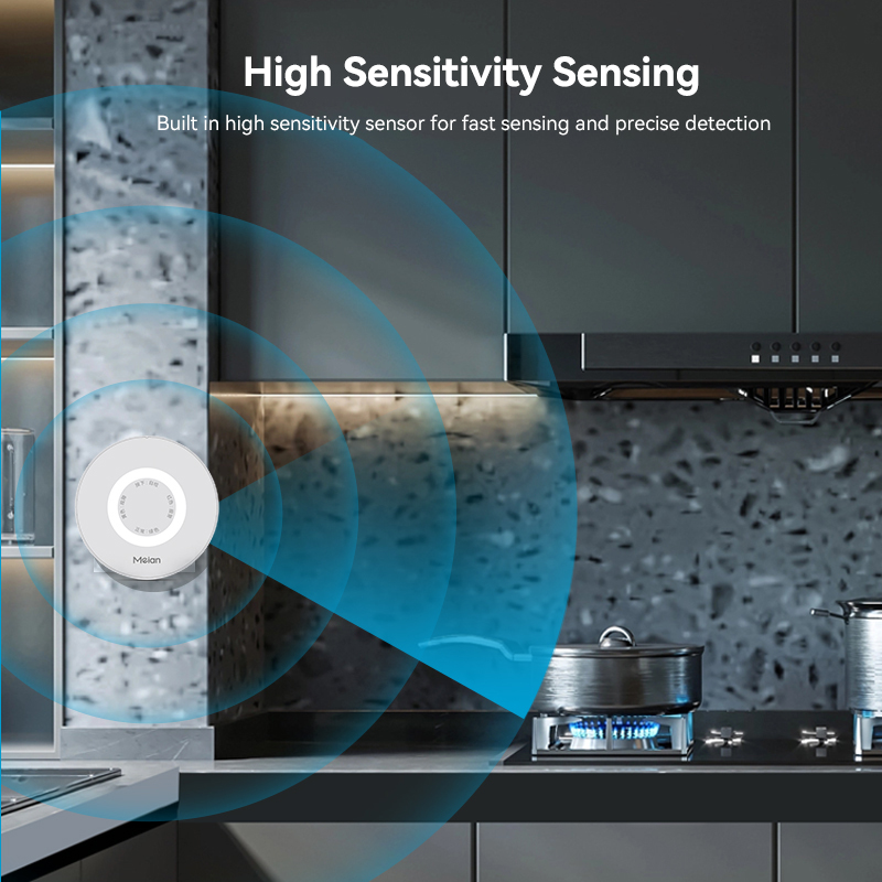 Meian Zigbee Gas Detector Tuya - đánh giá và giá Smart Home Blog
