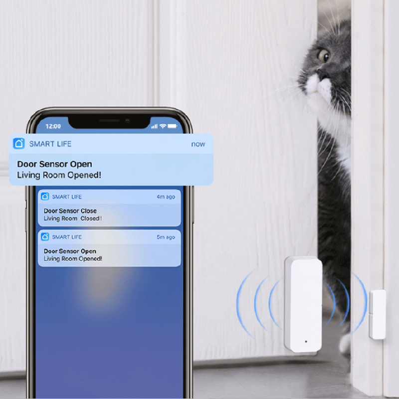 Tuya WiFi Zigbee Door Window S - đánh giá và giá Smart Home Remote Control